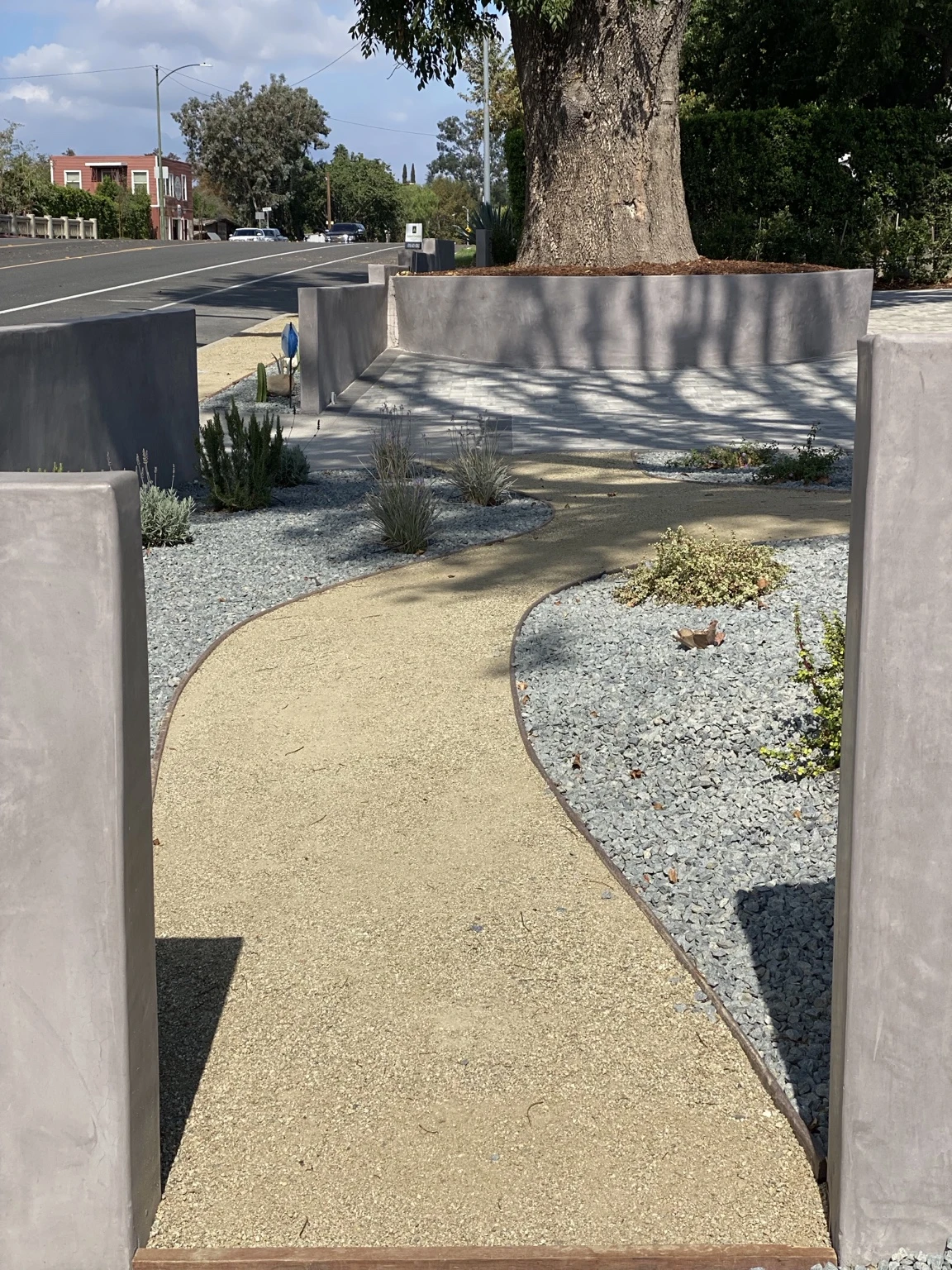 A curved path through a gravel garden