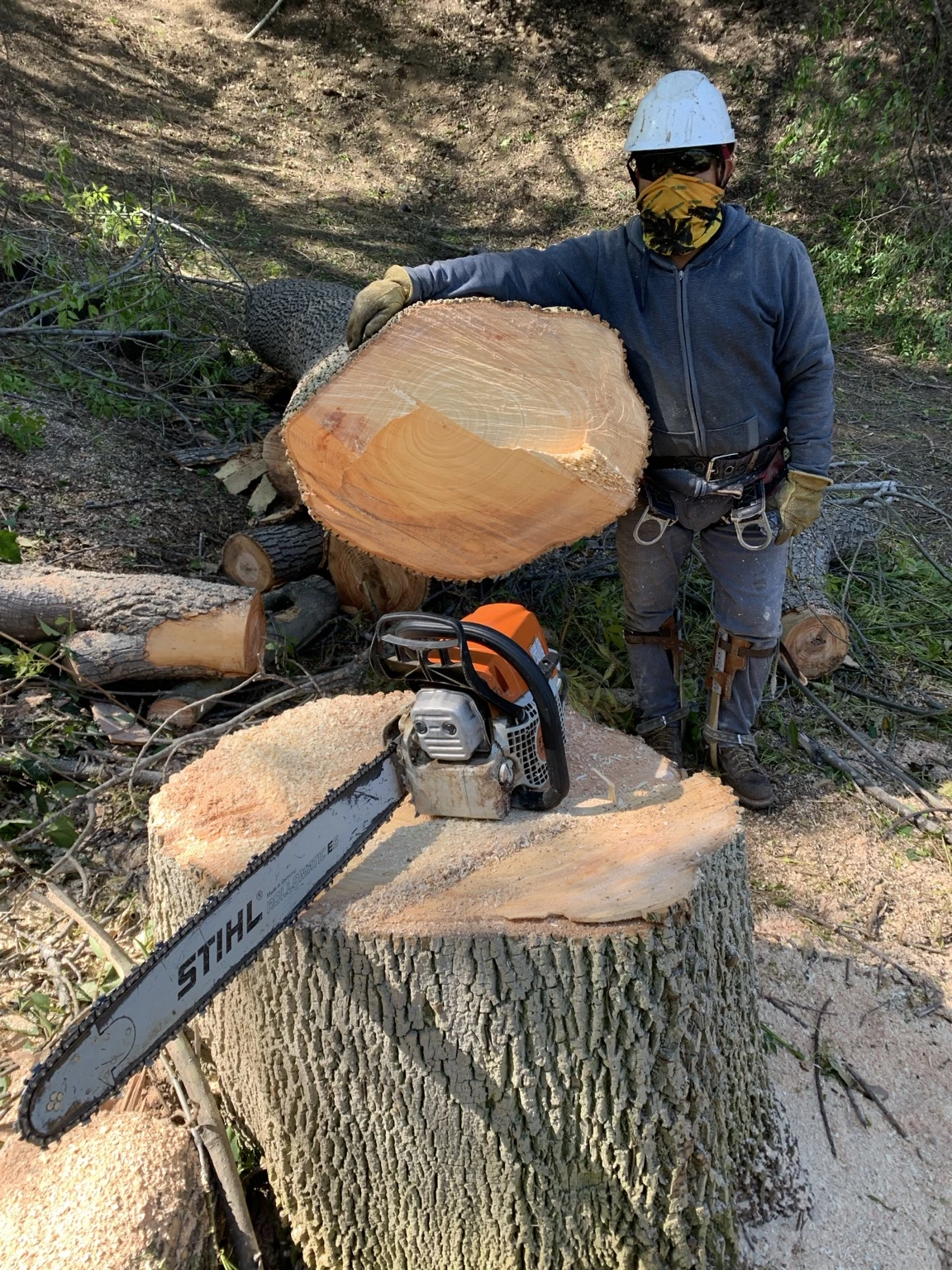 Tree Care